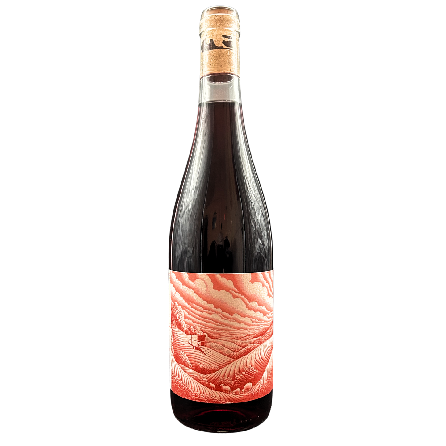 L'Escapade Cinsault'25 BIO